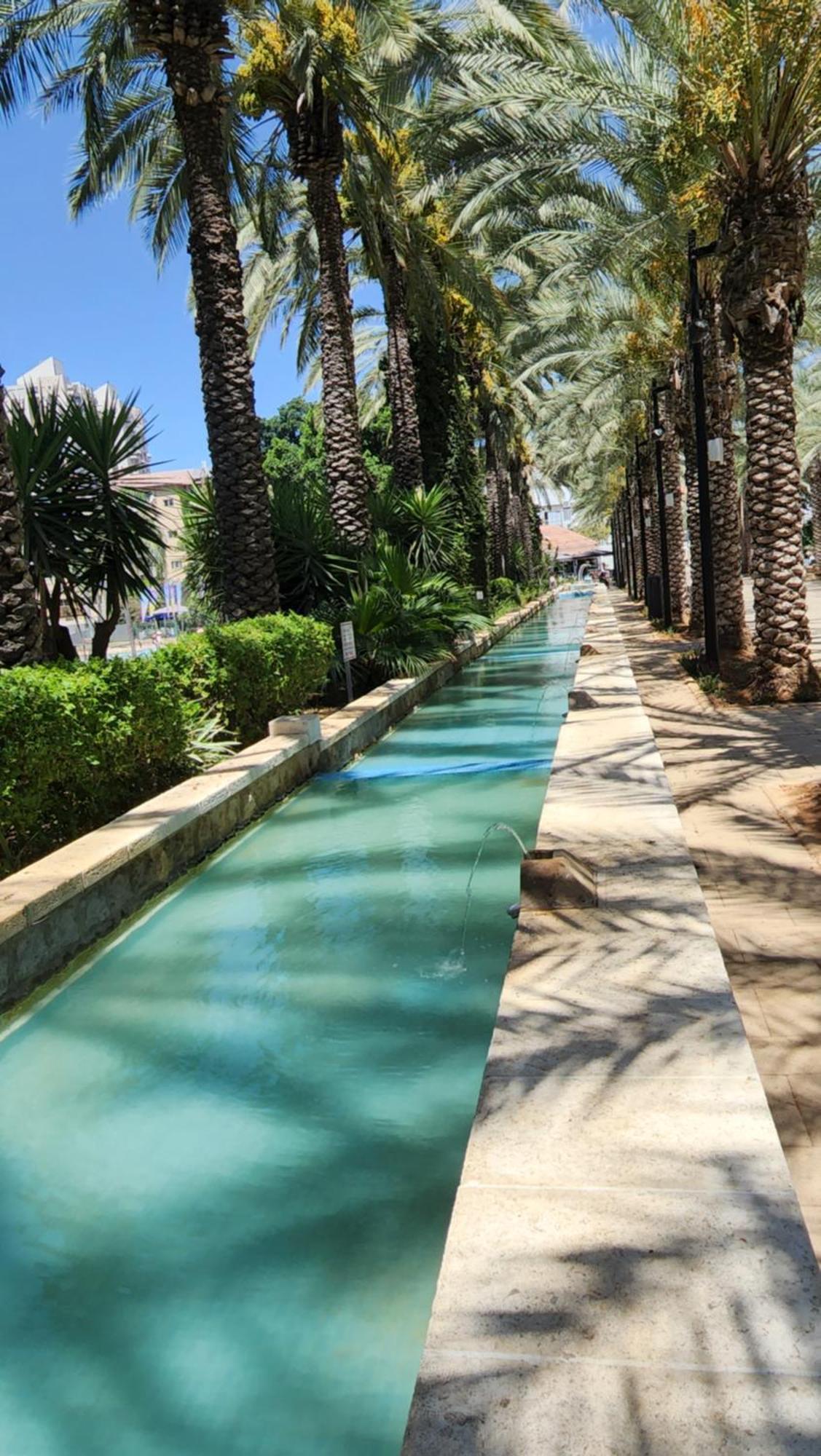 יחידת דיור Apartment Rishon Letzion Cameră foto